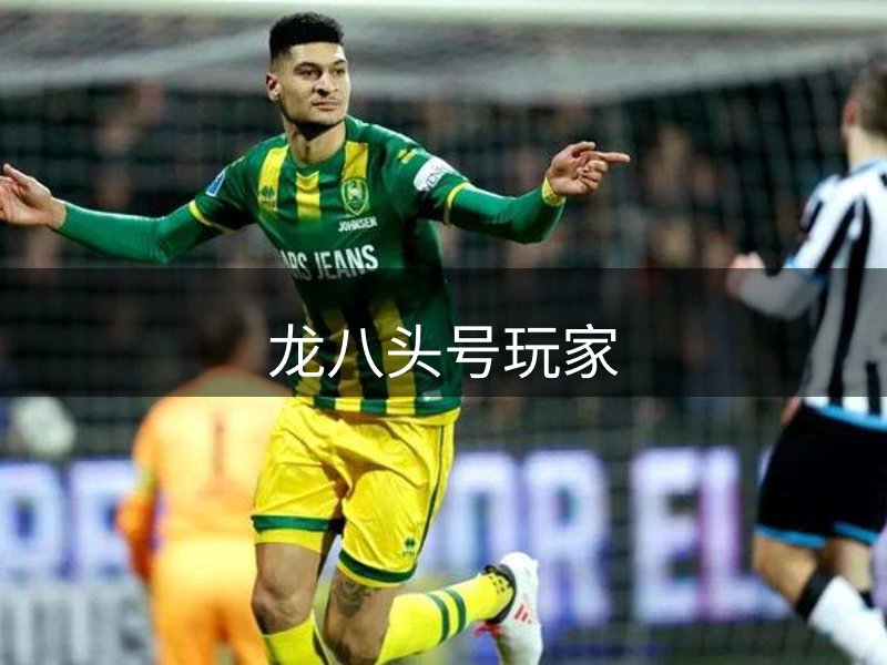 龙八头号玩家介绍